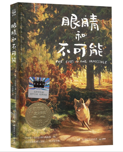 眼睛和不可能